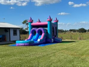 4&1 Princess Castle Combo